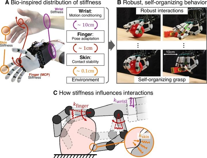 The ADAPT robotic hand features compliant materials that enable it to pick up objects like a human hand